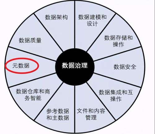 企業(yè)元數(shù)據(jù)管理與架構設計在計算機系統(tǒng)服務中的應用
